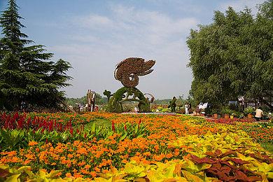 《宝可梦传说 Z-A》发布新短片 8.28揭晓新MEGA