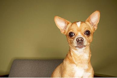 《指环王：重返莫瑞亚》主线时长40小时 剧情结束进入沙盒模式